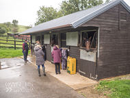 AK300921-84 - Alan King Stable Visit